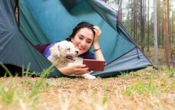 Camping Ouddorp: de ideale vakantiebestemming