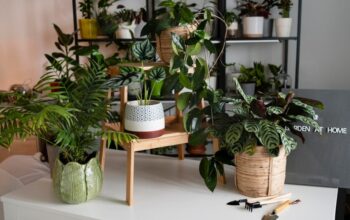 Tuinbakken voor Planten: Handig bij Herindeling van je Tuin